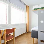 Linnasmaeki * Turku