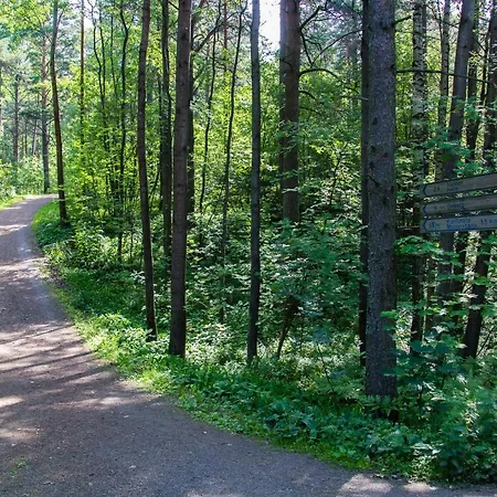 Linnasmaeki * Turku